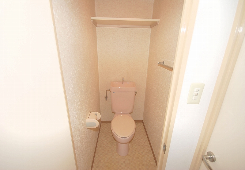Toilet. Toilet