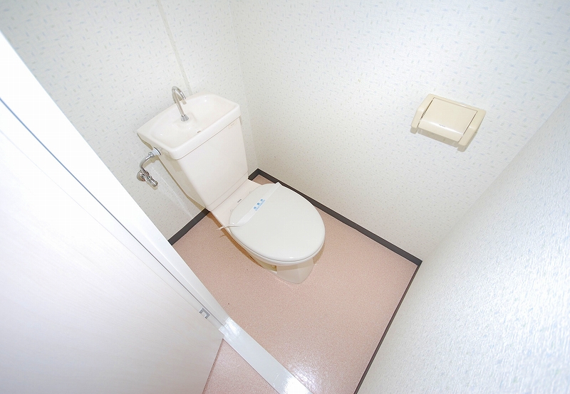 Toilet. Toilet