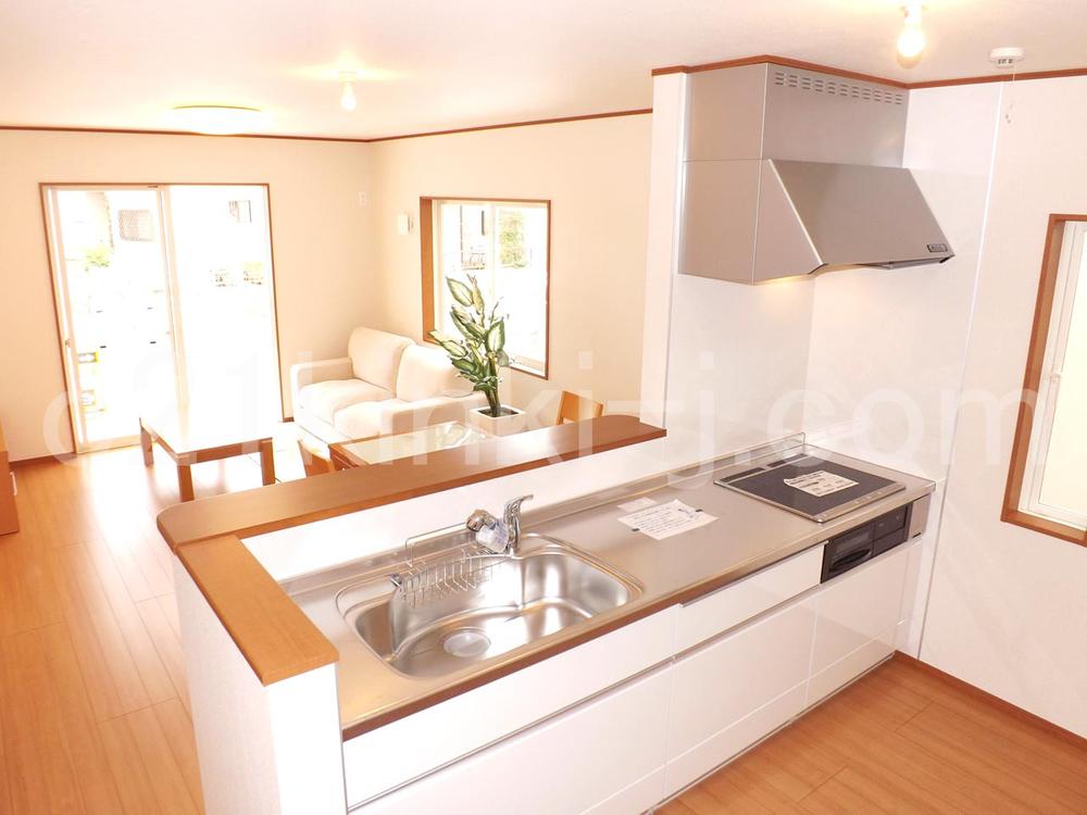 Kitchen. Local photo (kitchen) Slide storage! Water purifier with shower!