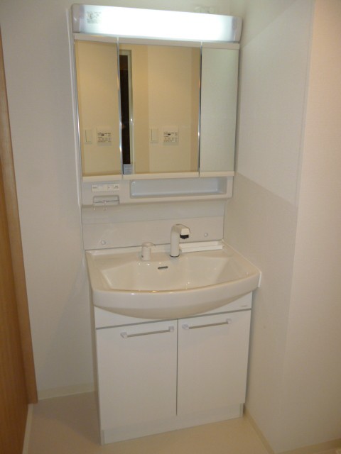 Washroom. Shampoo dresser