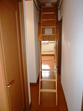 Other introspection. Stairs to the attic