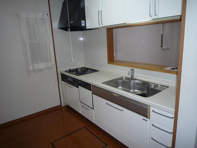 Kitchen. Indoor (10 May 2012) shooting