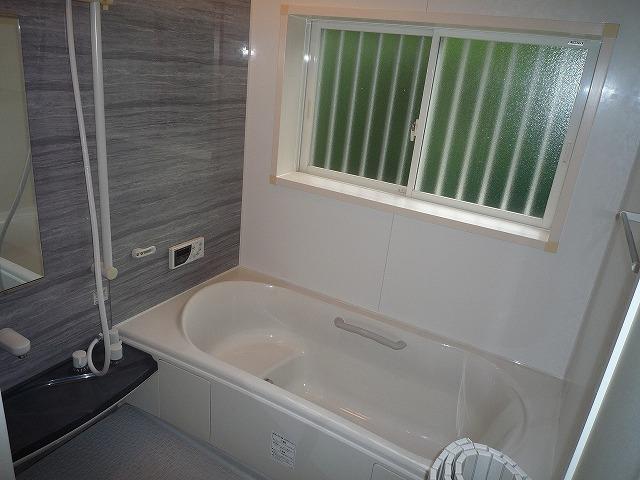 Bathroom. Indoor (10 May 2012) shooting