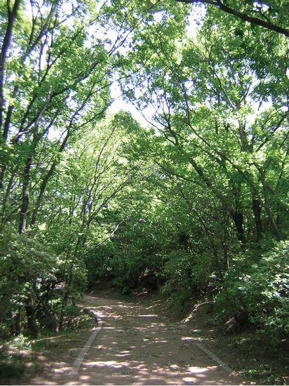 Other Environmental Photo. Dog walk Ya holiday 120m until the sweet of the highway, Irasshaimasu many mom Families with children.