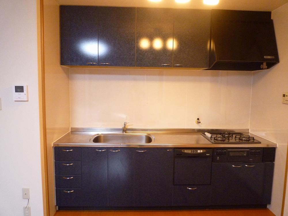 Kitchen. Indoor (12 May 2012) shooting