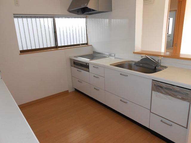 Kitchen. Indoor (12 May 2012) shooting