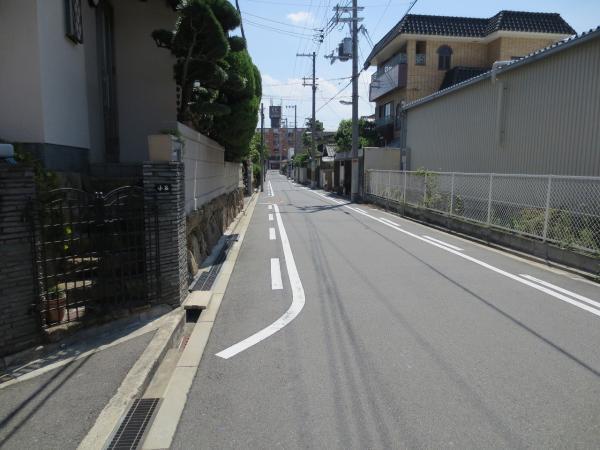 Other local. Before the road 2