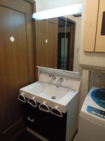 Wash basin, toilet. Indoor (January 2013) Shooting