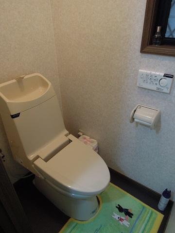 Toilet. Indoor (January 2013) Shooting