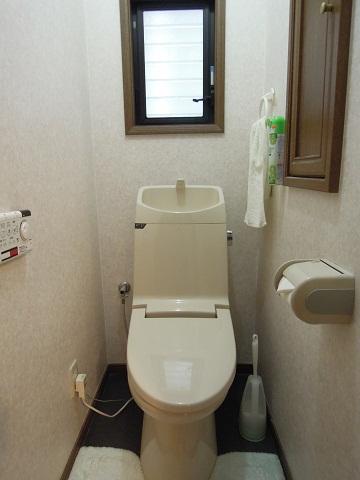 Toilet. Indoor (January 2013) Shooting