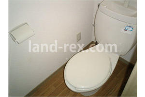 Toilet. Toilet