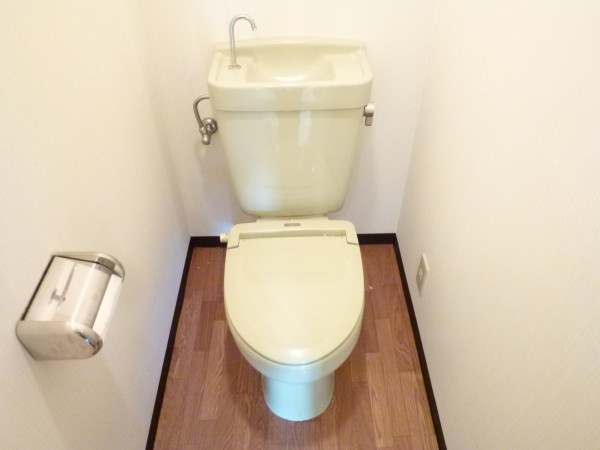 Toilet. Toilet is clean.