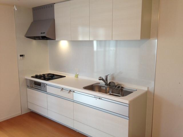 Kitchen. Luxury kitchen