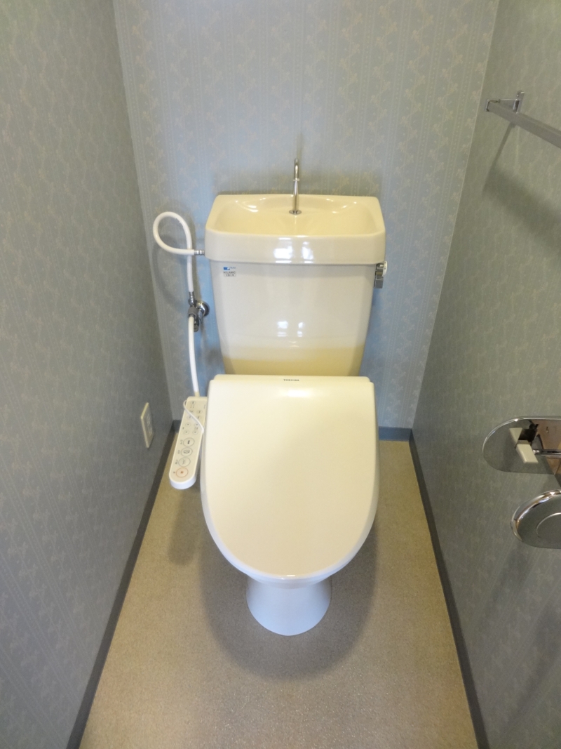 Toilet