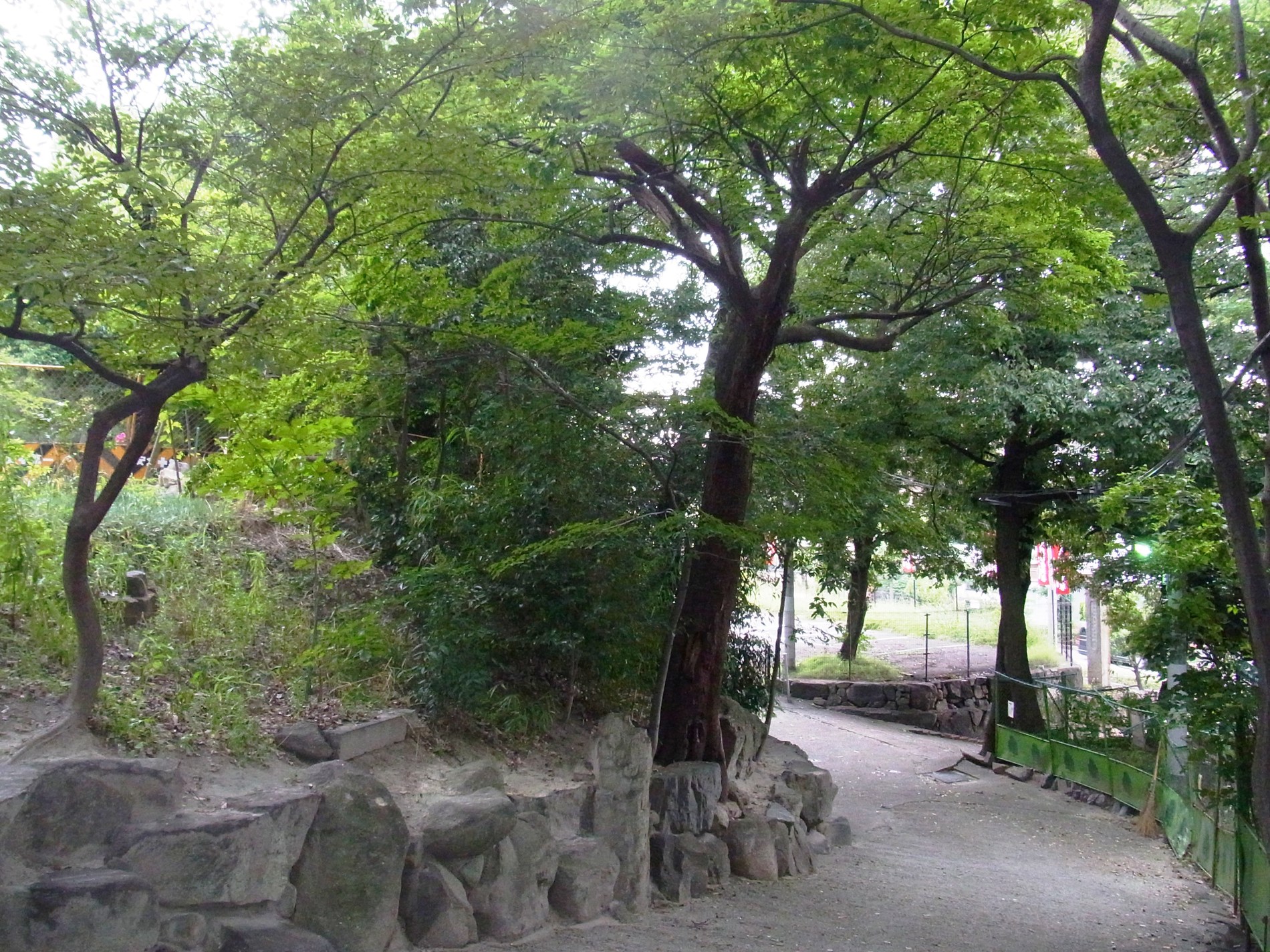 Other Environmental Photo. It is located in 270m quiet residential area right in the middle until Shoten Mountain Park, Small mountain that Shoten Mt., Has been in the precincts of the temple that venerable temple called "Shoten's" "Seientera" in local