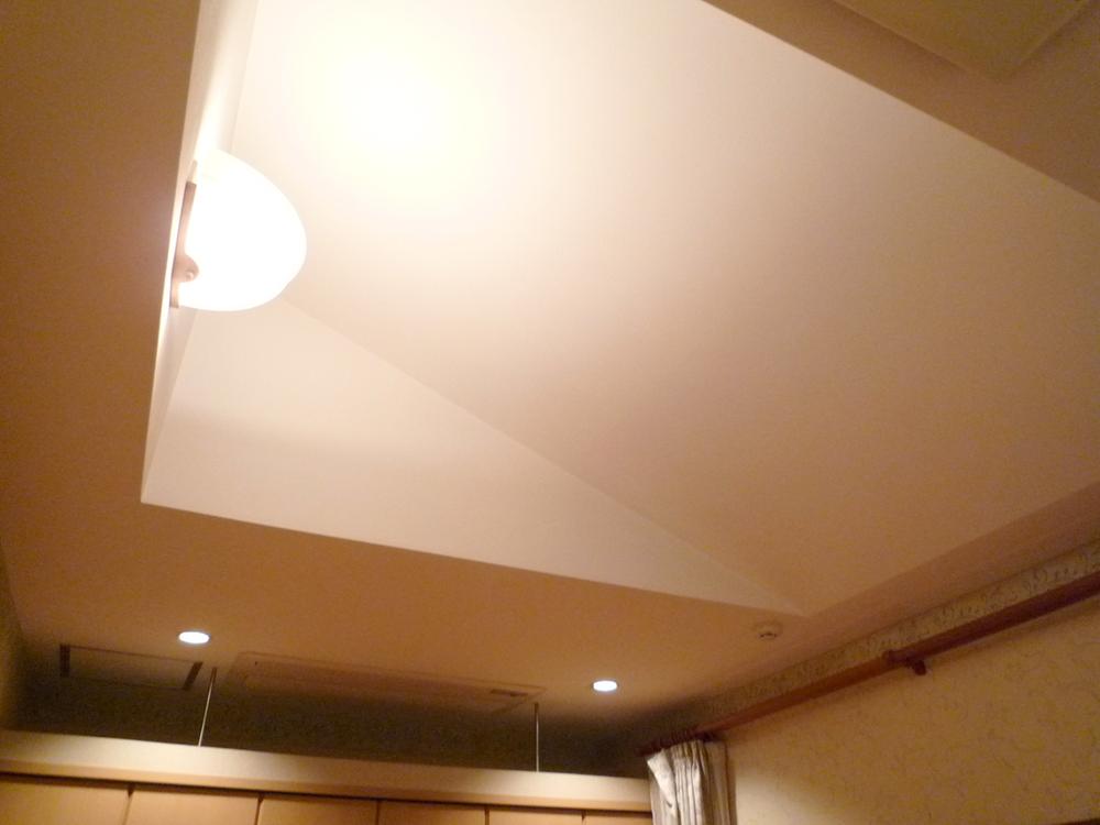 Other introspection. Stylish ceiling