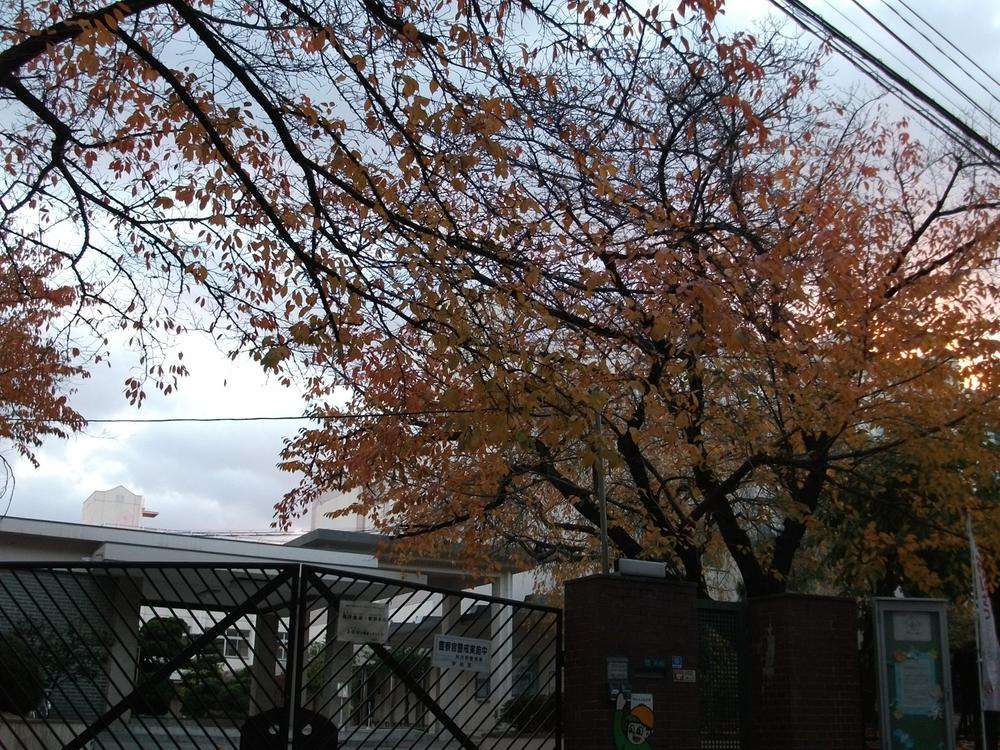Other Environmental Photo. Osaka Christian College