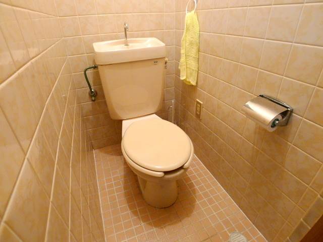 Toilet. Toilet