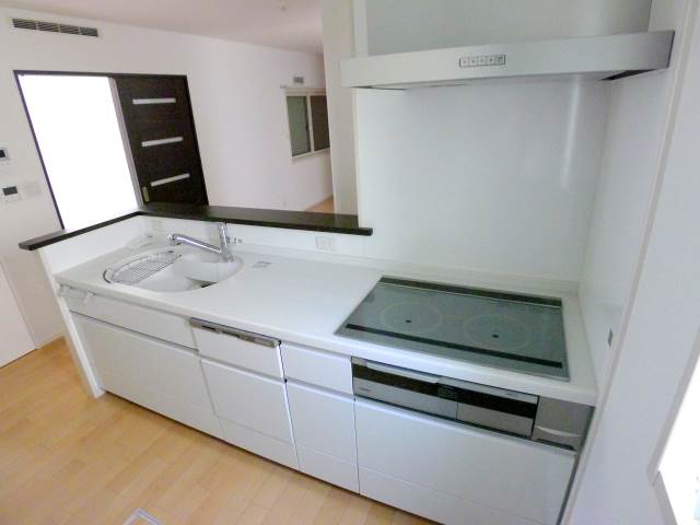 Kitchen. Kitchen