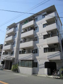 Building appearance