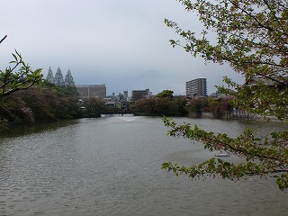 park. 132m until Momogaike park (park)