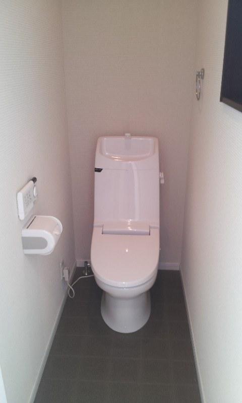 Toilet. Indoor (10 May 2012) shooting
