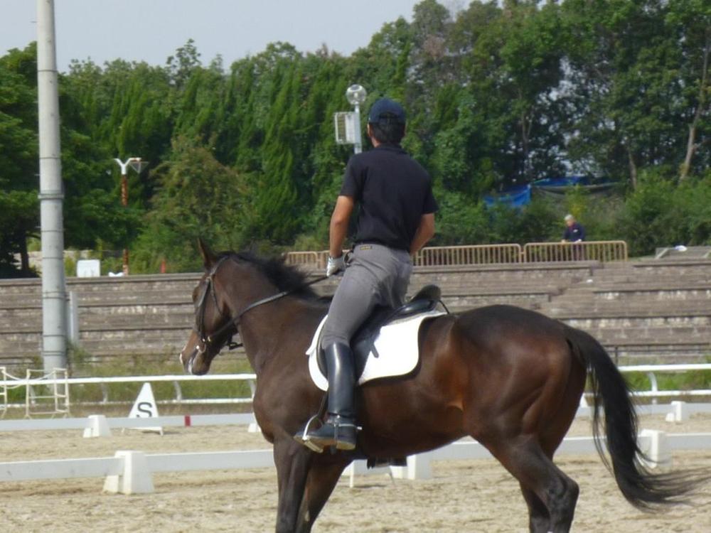 Other. Tsurumi Ryokuchi riding garden.