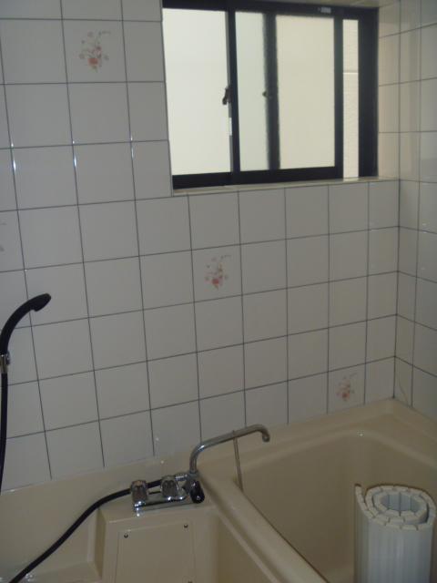 Bathroom. Indoor (March 2013) Shooting