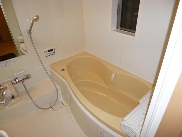 Bathroom. Indoor (11 May 2013) Shooting