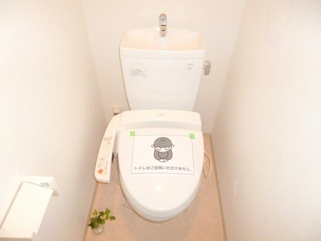 Toilet. High-function toilet There toilet two places