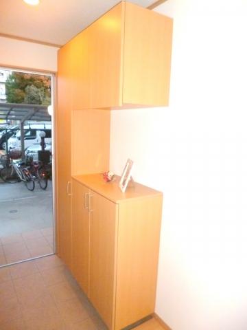 Entrance. There are shoes BOX