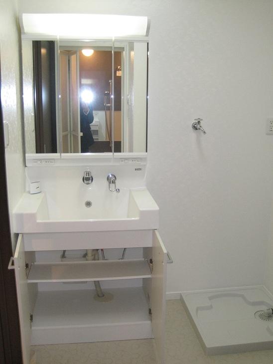 Wash basin, toilet. Storage is there plenty of vanity functionality preeminent!
