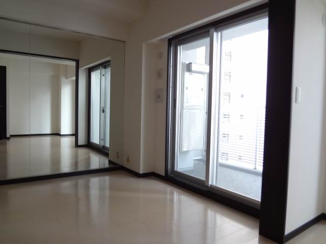 Living and room. Daylighting