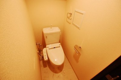 Toilet. Toilet