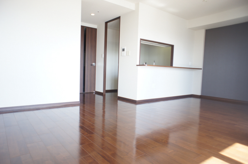 Living and room. LDK about 17.9 Pledge