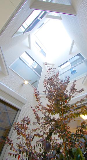 Model house photo. Our example of construction (courtyard)