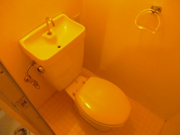 Toilet