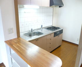 Kitchen. Counter Kitchen