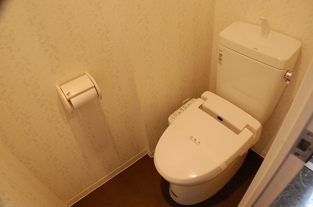 Toilet. Toilet