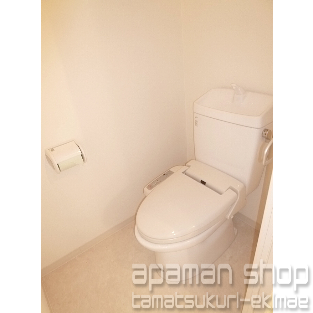 Toilet. Toilet
