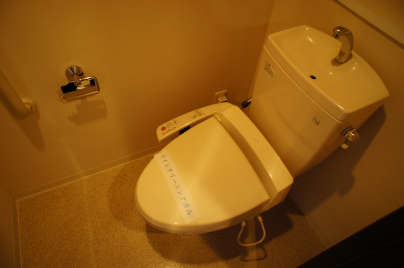 Toilet. Washlet toilet