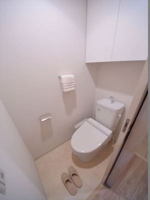 Toilet. Toilet