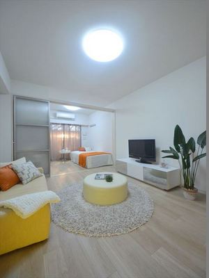 Living and room. This room has a certain sense of open. 