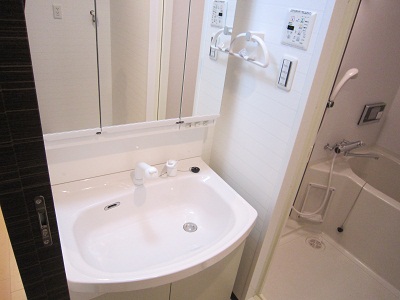 Washroom. Shampoo dresser