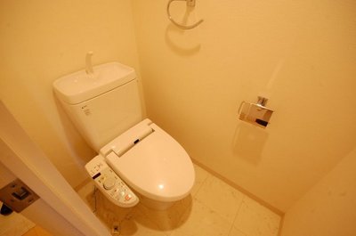 Toilet. Toilet