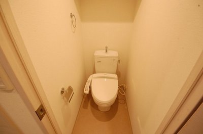 Toilet. Bidet function toilet