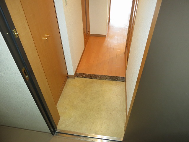 Entrance. There is also a shoe box!