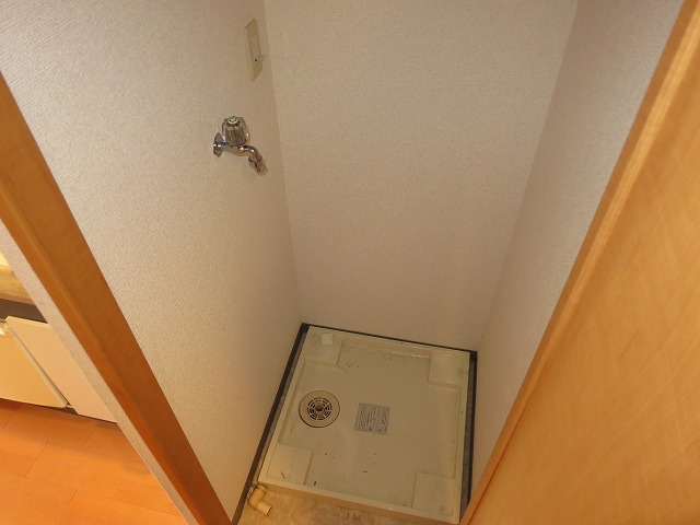 Entrance. Indoor Laundry Storage