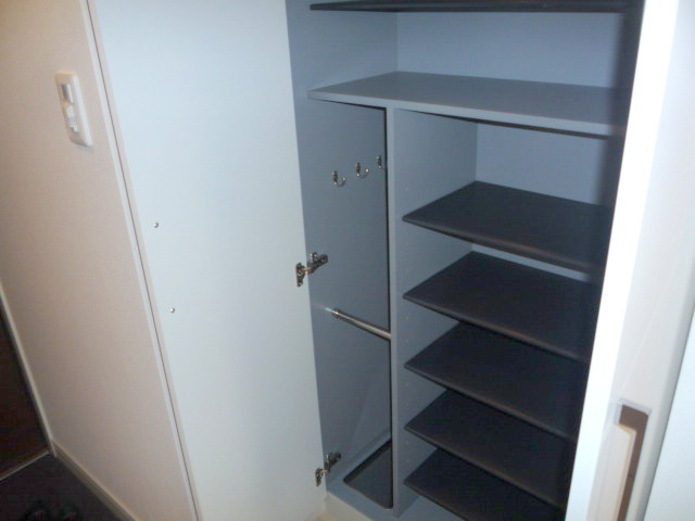 Entrance. Shoes BOX