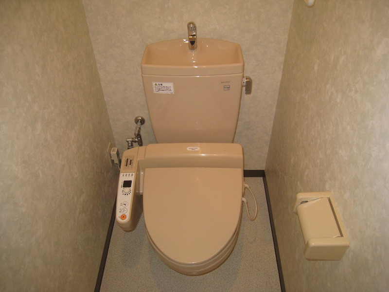 Toilet